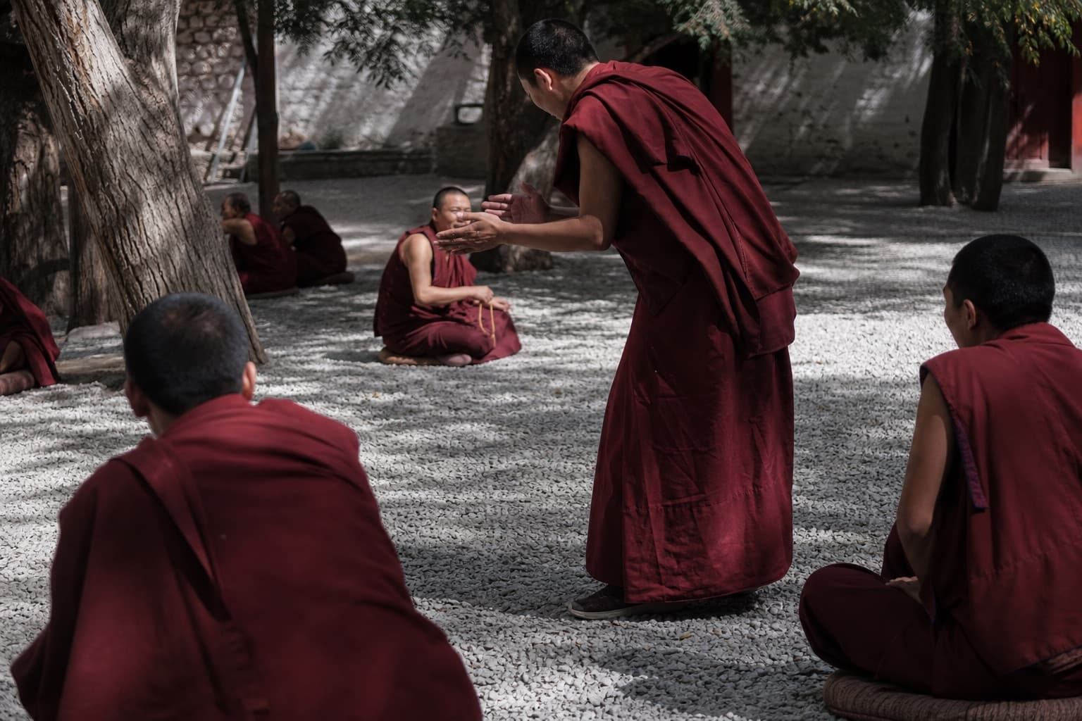 Tibetan Buddhism & the Great Monasteries: A Visitor's Guide