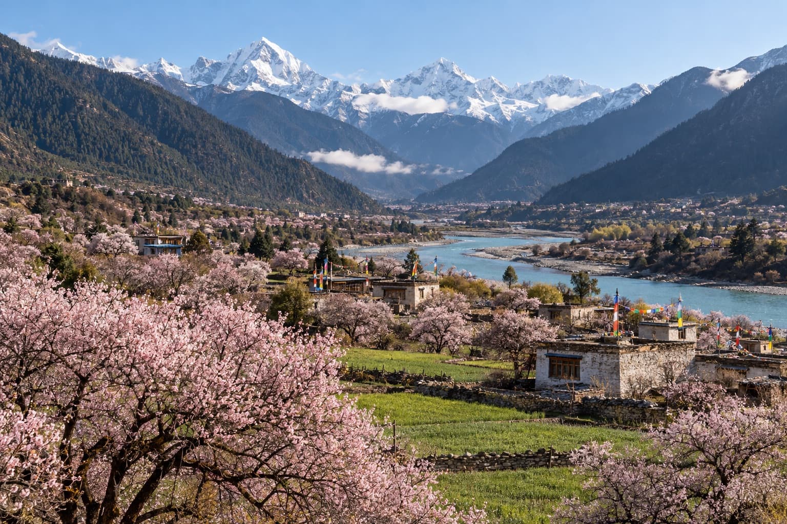 Peach Blossom Tibet (9 Days)