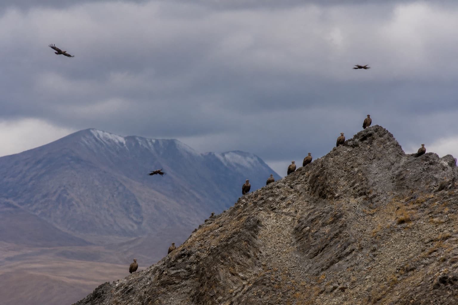 Sky Burial in Tibet: A Respectful Explanation of Jhator
