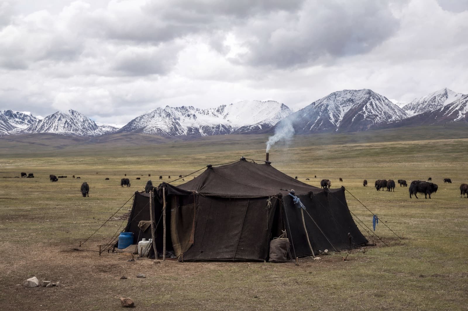 A nomad tent pitched on the open plateau
