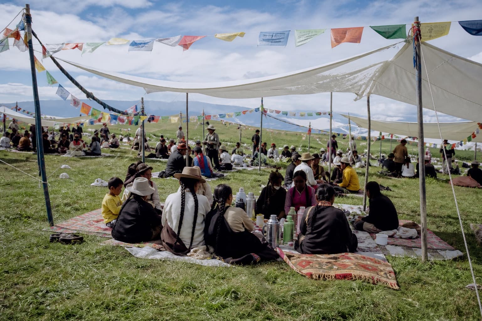 Yartsa Gunbu: Tibet's Caterpillar-Fungus Gold Rush