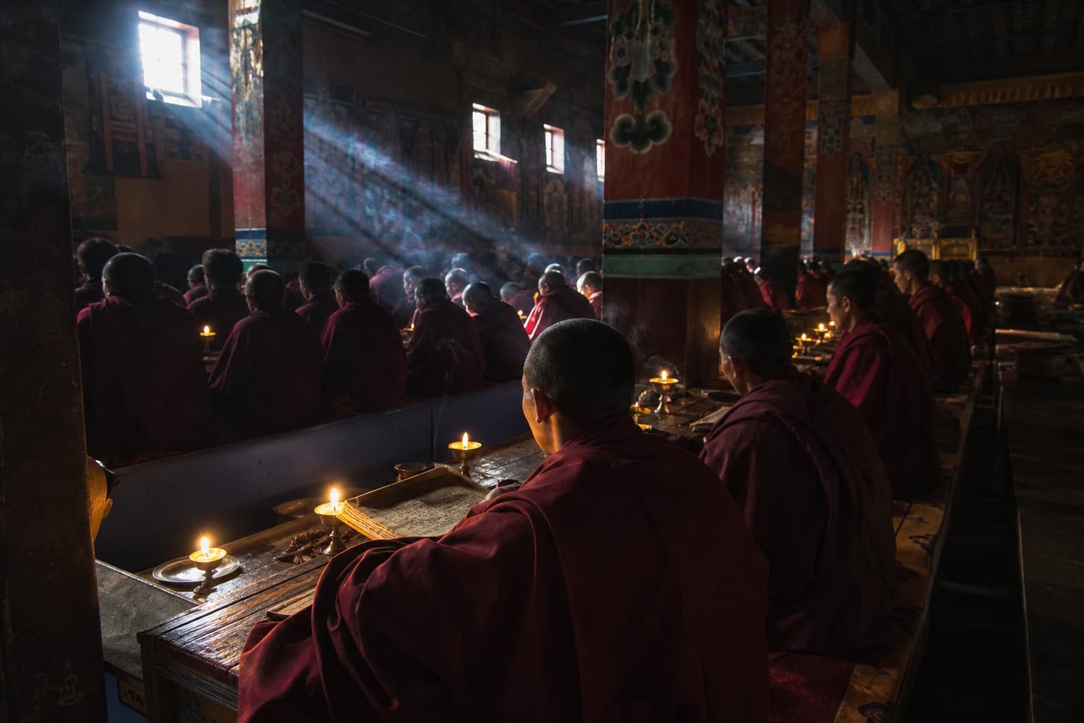 Yartsa Gunbu: Tibet's Caterpillar-Fungus Gold Rush